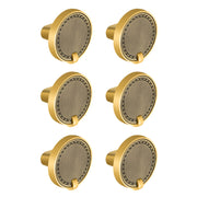 Plantex Knobs for Drawers/Drawer Knobs/Round Knob for Cabinets/Pull-Push Knob for Kitchen/Bedroom/Drawer - Pack of 6 (Brass Antique & Gold)