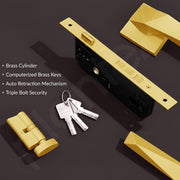 Plantex Heay Duty Mortise Door Lock for Home/Main Door Lock Set/Door Handle Lock with Brass Lock Body & Cylinder (7129, PVD Gold)