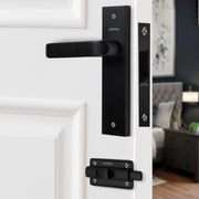 Plantex Heavy Duty Door Lock ÃƒÂ¢Ã¢â€šÂ¬Ã¢â‚¬Å“ Bathroom Door Lock/Mortise 8inch Keyless Plate Handle Set for Home/Bathroom/Store Room/Balcony/Office with Baby Latch (8110, Z-Black)
