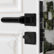 Plantex Mortise Door Lock for Main Door/Premium Handle Lock Set for Home with 3 Years Warranty by Plantex (Black)