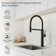 Plantex Brass Sink Tap for Kitchen Basin/360Ãƒâ€šÃ‚Â° Swivel Spout Kitchen Faucet with Double Handle| Spring Pull Out Tap for Kitchen Sink-(8982-Black)
