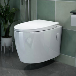 Plantex Platinum Ceramic Wall Hanging Western Toilet/Rim Washdown Commode for Toliet/Commode With Soft Close Toilet Seat - P Trap Outlet (White)
