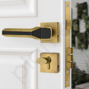 Plantex Main Door Lock for Home/Door Handle Locks/Premium Mortise Door Lock Set with 3 Years Warranty by Plantex (Brass Antique & Black)
