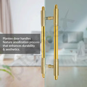 Plantex 12 Inch Main Door Handle/Pull-Push Handle for main door/Stainless Steel Handle for Home&Office/Hotel - Pack of 1 (Brass Antique & PVD Gold)