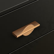 Plantex Cabinet Handle/96mm Handle for Cabinet/Wardrobe/Kitchen Handle/Door Pull-Push Handle for Home/Office - Pack of 1 (Gold)