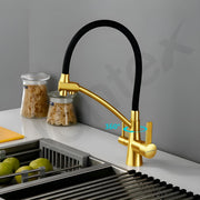 Plantex Pure Brass Kitchen Taps for Home Sink/3-in-1 Sink Mixer Tap with Built-in RO Outlet/360Ã‚Â° Swivel Spout with Pull Down Kitchen Faucet-(Gold & Black)