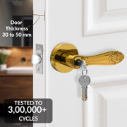 Plantex Premium Mortise Lock for Door/Door Lock for Home/Heavy Duty Main Door Lock with 3 Key - (Gold)