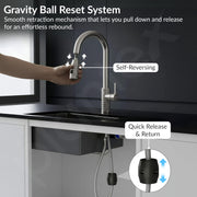 Plantex Pull-Down Kitchen Sink Tap/Pure Brass Sink Tap for Kitchen Basin with 360â° Swivel Spout/Kitchen Sink Faucet- (2045, Matt)