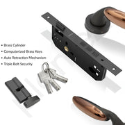 Plantex Door Lock for Home/Main Door Lock Set/Mortise Lock Set with Brass Lock Body & Cylinder - 3 Years of Warranty (7134, Grey & PVD Choco)