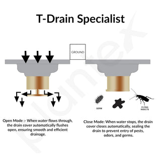 Plantex Solid Brass Floor Drainer for Bathroom/Shower Drain with Cockroach Trap Jali/Floor Trap/Jali for Bathroom/Kitchen - (Brass Antique, 5 x 5 Inch)