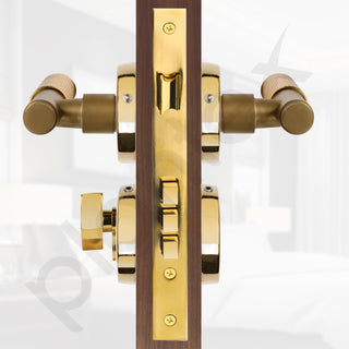 Plantex Premium Door Lock with 3 Years of Warranty/Main Door Locks for Home/Mortise Lock Set for Door (PVD Gold)