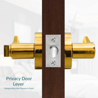 Plantex Heavy-Duty Door Lock - Bathroom Door Lock/Mortise Keyless Handle Set for Home/Bathroom/Balcony/Store Room - (DTM-628, PVD Gold)