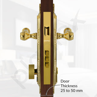 Plantex Heavy-Duty Door Lock Set - Main Door Lock Handle Set/ 6-Lever Lock Mechanism with 3 Years of Warranty/Mortise Lock with 3 Keys, Brass Lock Body & Cylinder(596 - Gold)