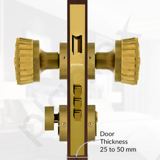 Plantex Heavy Duty Door Lock/Main Door Mortise Lock Handle/Handle Set for Home/Office/Door Accessories (Gold)