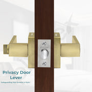 Plantex New Age Bathroom Door Locks/Key-Less Door Lock Set for Bedroom/Balcony/Office/Storeroom - Reversible Design (Brass Antique Finish, 30mm to 50mm Door Range)