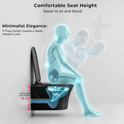 Plantex Platinum Ceramic P Trap Wall Hung Western Commode/Rimless Washdown Flush for Western Toilet/ Commode with Soft Close Toilet Seat Cover  - (Black)