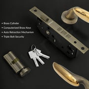 Plantex Mortise Door Lock/Main Door Handle Lock Set/Door lock for Home with Brass Lock Body & Cylinder - 3 Years of Warranty (7134, Brass Antique & PVD Gold)