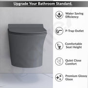 Plantex Ceramic Bathroom Commode and Wash Basin/Rimless Washdown Wall Hung Western Toilet/Bathroom Wash Basin/P Trap Commode - Smoke