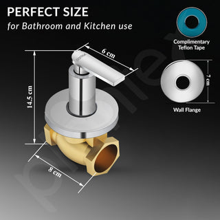 Plantex Pure Brass 25 mm Flush Valve with Teflon Tape & Wall Flange - 7 Year Warranty (Commercial & Residential Use)