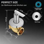 Plantex Pure Brass 25 mm Flush Valve with Teflon Tape & Wall Flange - 7 Year Warranty (Commercial & Residential Use)