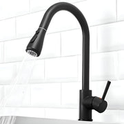 Plantex Stainless Steel 304 Single Lever Kitchen Tap/Hot & Cold-Water Mixer Tap with Flexible 360Ãƒâ€šÃ‚Â° Swivel Spout/Deck Mounted (8424-Black)