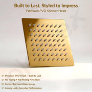 Plantex Stainless Steel Overhead Shower 6 x 6 inch with Water-Saving Technology/High pressure Rain Shower Head without Arm/Bathroom Shower -(Ultra Slim-PVD Gold)