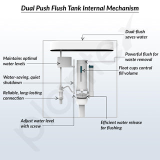 Plantex Flush Tank for Toilet with 10 Ltr Water Capacity/Dual Flushing Cistern for Bathroom/Polypropylene Toilet Flush Tank - Pack of 1 (Classic, White)