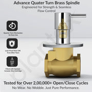 Plantex 25 mm Pure Brass Flush Valve with Teflon Tape & Brass Wall Flange for Commercial & Residential Use-7 Year Warranty (ICO-920-Chrome)