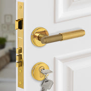 Plantex Premium Door Lock with 3 Years of Warranty/Main Door Locks for Home/Mortise Lock Set for Door (PVD Gold)