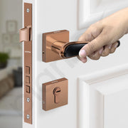 Plantex Main Door Lock/Mortise Lock for Doors - Robust Door Handle for Home with Brass Locks Body & Cylinder (PT-014, Rose Gold & Black)