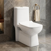Plantex Platinum Ceramic Commode Toilet/S Trap One Piece Western Toilet/Rim Washdown Flush Commode with Soft Close Toilet Seat Cover (White, Ultra)