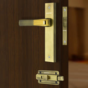 Plantex Heavy Duty Door Lock ÃƒÂ¢Ã¢â€šÂ¬Ã¢â‚¬Å“ Bathroom Door Lock/Mortise 8inch Keyless Plate Handle Set for Home/Bathroom/Store Room/Balcony/Office with Baby Latch (8114, Brass Antique & PVD Gold)