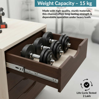 Plantex Drawer Channel/Ball Bearing Regular Close Channel for Drawer/Telescopic Drawer Channel for Wooden & Metals Drawers in Kitchen, Wardrobe, (10-Inch,Silver) Pair