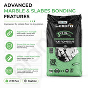 Plantex Lexora Tile Adhesive for Terracotta/Ceramic & Quarry Tiles/Polymer Modified Cement Adhesive for Floor & Wall Tiles Fixing/ Kitchen & Bathroom  Use - 20kg (LX-04, Grey)