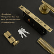 Plantex Main Door Lock Set/Door Lock for Home/Mortise Lock with Brass Lock Body & Cylinder (7135, Brass Antique)