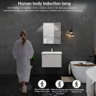 Plantex Vanity for Bathroom/Rectangle Cabinet with Wash Basin and Mirror/Bathroom Organizer for Home - (NZBC-24)