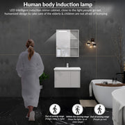 Plantex Vanity for Bathroom/Rectangle Cabinet with Wash Basin and Mirror/Bathroom Organizer for Home - (NZBC-24)