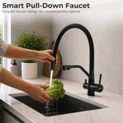 Plantex Flexible Tap for Kitchen Sink/Pure Brass Dual Flow Pull Out Sink Mixer Tap Hot and Cold/Movable/Rotable Water Mixer Faucet - (7904, Black)