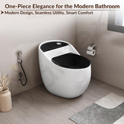Plantex Platinum One Piece Commode for Toilet/Rim Siphonic Western Toilet/S Trap WC for Bathroom Commode with Soft Close Seat Cover- (White and Black)