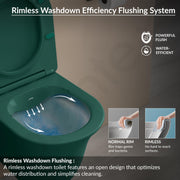 Plantex Ceramic Imported Commode Toilet/Rimless Washdown Wall Mounted Commode with Soft Closing Toilet Seat - P Trap Outlet (1164 - Matt Green)