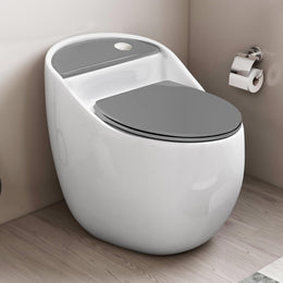 Plantex Platinum Ceramic Rimless Commode/One Piece Western Toilet/Siphonic Flush Western Commode with Soft Close Toilet Seat - S Trap Outlet (White & Grey)