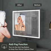 Plantex Luxury LED Mirror Cabinet for Bathroom/304 Grade Stainless Steel Bathroom Cabinet/Mirror for Bathroom with Double Door Cabinet (24x24 Inch-LED & Defogger/Chrome)