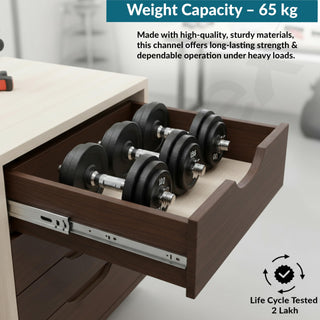 Plantex Drawer Channel/Regular Close Ball Bearing/Channel for Drawer/Telescopic Channel for Wooden & Metals Drawers in Kitchen, Wardrobe, (20-Inch,Silver) 1 Pair Set