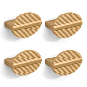 Plantex Knobs for Drawers/Round Drawer Knobs for Cabinets/Pull-Push Knobs for Kitchen/Bedroom Drawer - Pack of 4 (Gold)