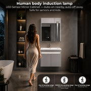 Plantex Wall Mount Vanity Cabinet with Washbasin and Mirror/Rectangular Basin with Cabinet for Bathroom - (Clara - 600, Grey)