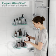 Plantex Premium Transparent Glass Shelf for Bathroom/Kitchen/Living Room - Bathroom Accessories (Polished 12x6 - Pack of 3)