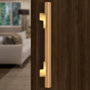 Plantex 17 Inch Main Door Handle for Wooden Doors - Pull-Push Handle Accessories (Pack of 1, Gold)