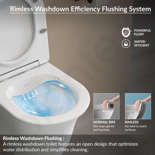 Plantex Imported Ceramic Western Commode/Wall Hung Western Toilet/Rimless Washdown Commode for Bathroom with Soft Close Toilet Seat Cover - P Trap Outlet (1161 - Matt White)
