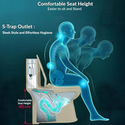 Plantex Platinum Ceramic Rimless One Piece Western Toilet/Washdown Commode for Toilet/Commode With Soft Close Toilet Seat - S Trap Outlet (Thunder)