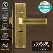 Plantex Stainless Steel Door Lock Ã¢â‚¬â€œ Bathroom Door Lock/Mortise 8inch Keyless Plate Handle Set for Home/Bathroom/Store Room/Balcony/Office - Pack of 1 (DTM-661, Brass Antique)